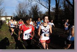 Begles 15.12.13 01 698 * 679 x 453 * (138KB)